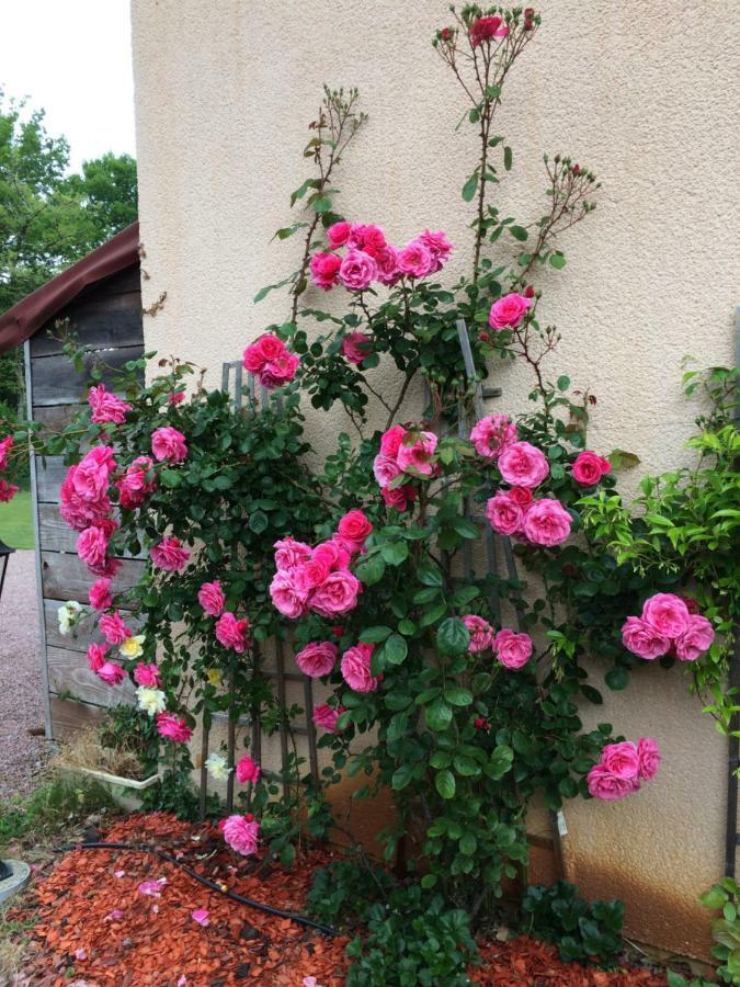 Sainte-Eulalie-en-Born La Mimona B&B 외부 사진