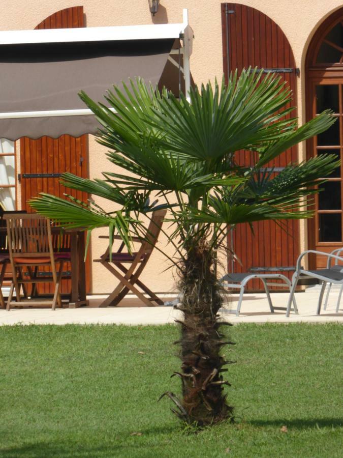 Sainte-Eulalie-en-Born La Mimona B&B 외부 사진