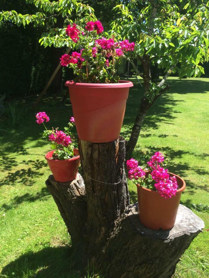 Sainte-Eulalie-en-Born La Mimona B&B 외부 사진