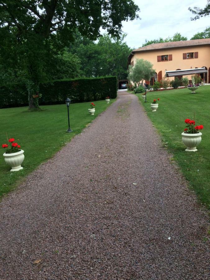 Sainte-Eulalie-en-Born La Mimona B&B 외부 사진